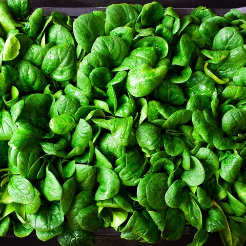 what to grown in november young baby spinach leaves in a box